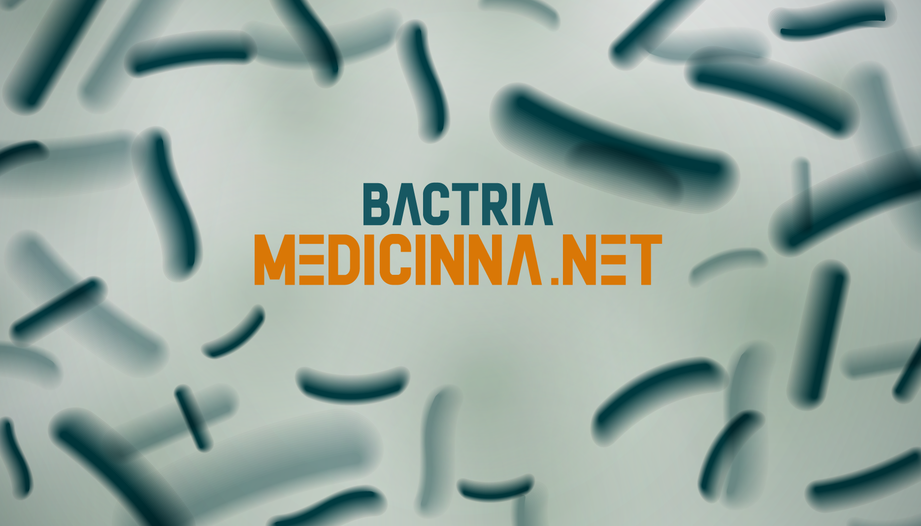 فروشگاه آنلاین مدیسینا medinest
